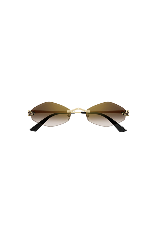 CARTIER CT0433S-002 55