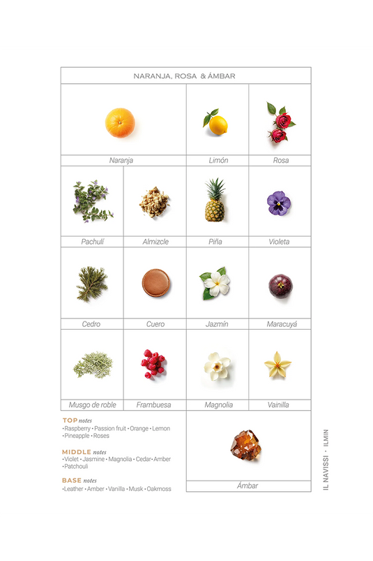 ILMIN IL NAVISSI - 30 ML