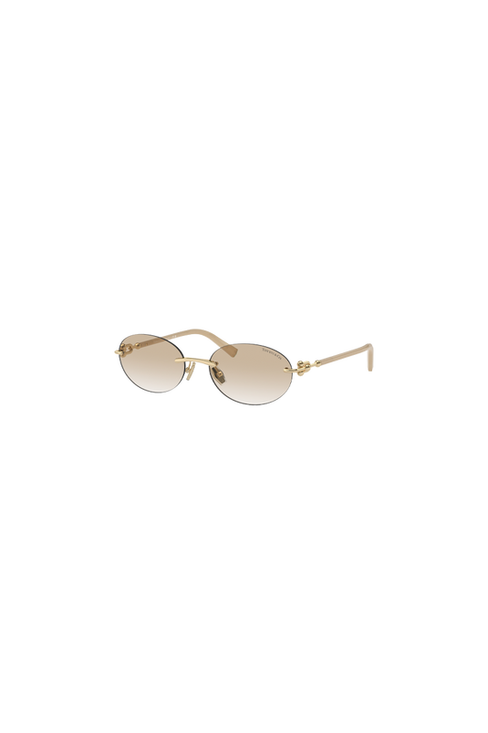 TIFFANY & Co TF3104D 617811