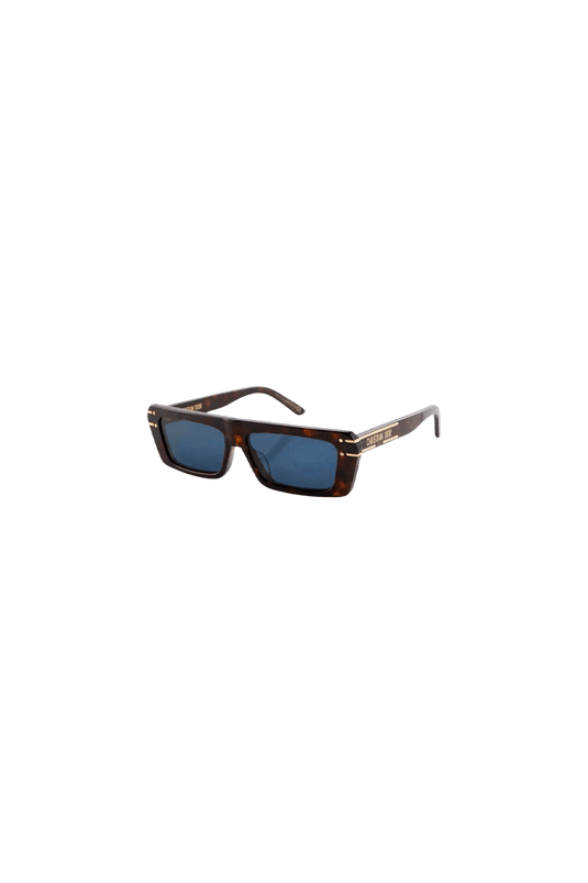 Gafas Gafas Disignature S2U-20B0