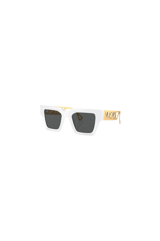 Gafas Versace Ve4431 401/87 50