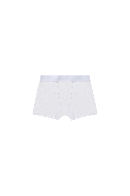 Basics Boxers Undergold