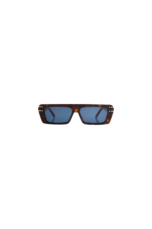 Gafas Gafas Disignature S2U-20B0