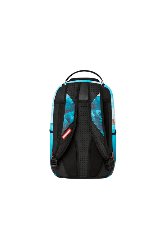 Art Of Life Dlxsv Sprayground