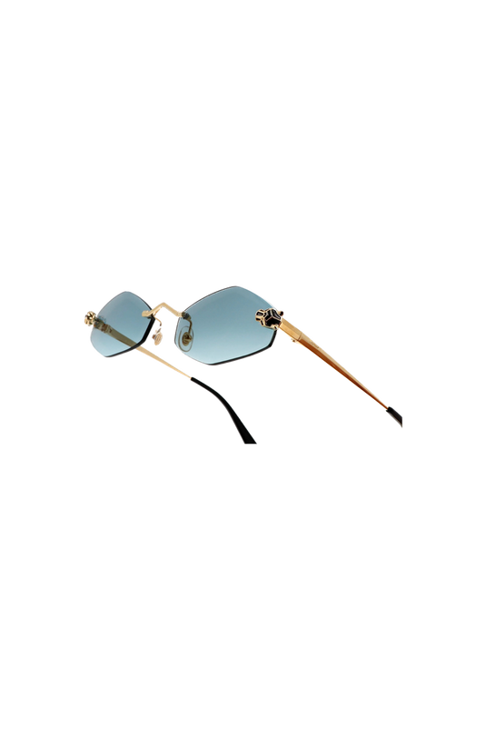 CARTIER CT0433S-003 55