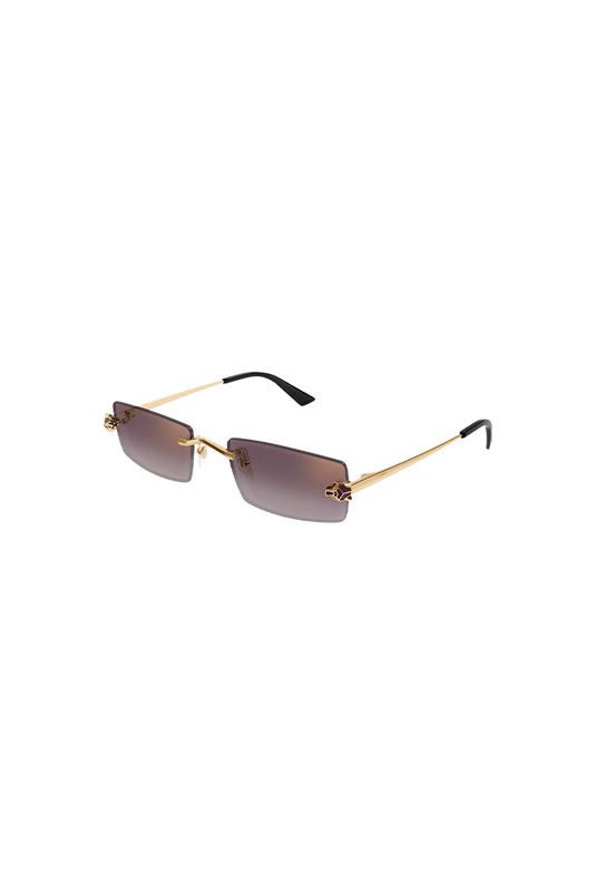 CARTIER CT0598S-005 55