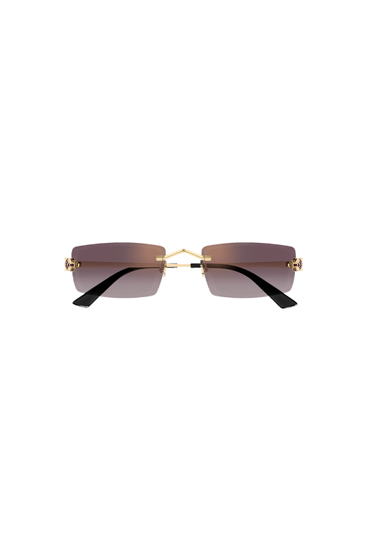 CARTIER CT0598S-005 55
