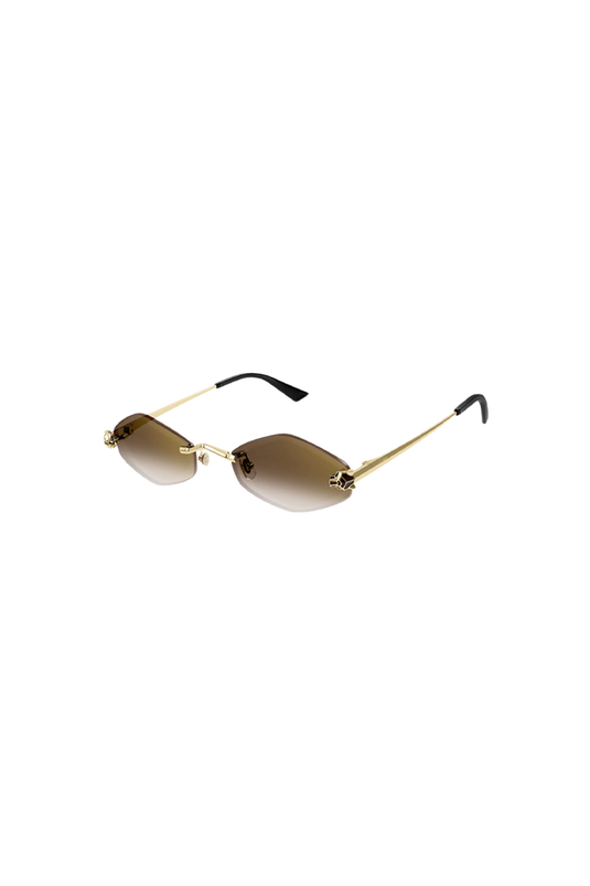CARTIER CT0433S-002 55