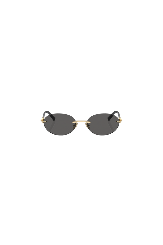 TIFFANY & Co TF3104D 6216 54 56