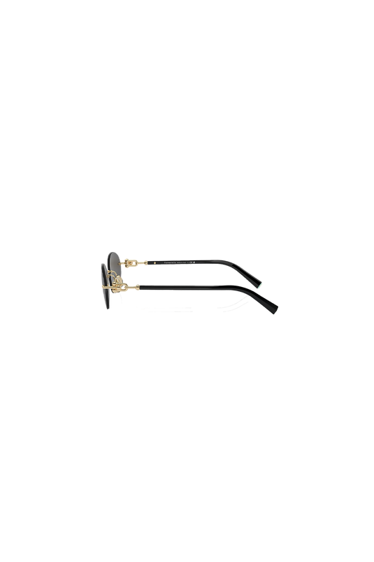 TIFFANY & Co TF3104D 6216 54 56